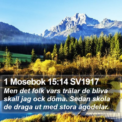 1 Mosebok 15:14 SV1917 Bible Verse Image