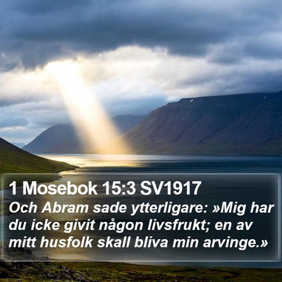 1 Mosebok 15:3 SV1917 Bible Verse Image