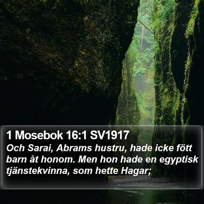 1 Mosebok 16:1 SV1917 Bible Verse Image