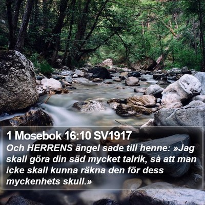 1 Mosebok 16:10 SV1917 Bible Verse Image