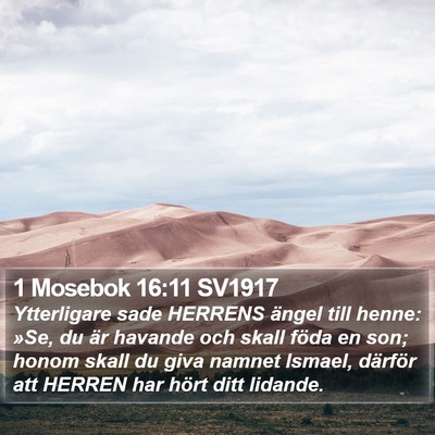 1 Mosebok 16:11 SV1917 Bible Verse Image