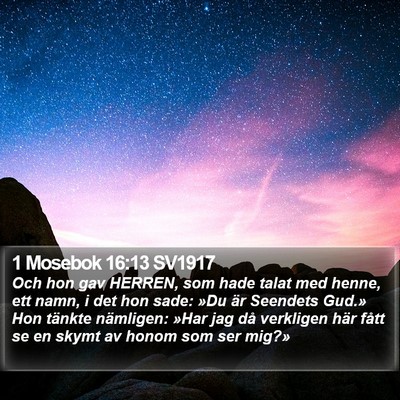 1 Mosebok 16:13 SV1917 Bible Verse Image