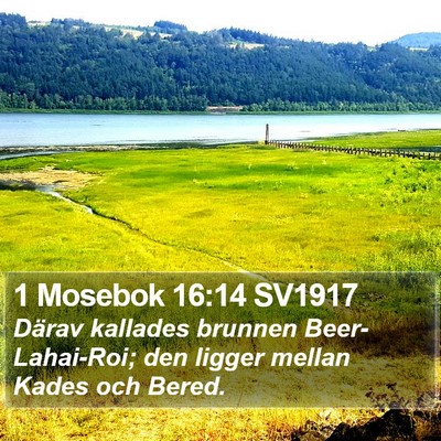 1 Mosebok 16:14 SV1917 Bible Verse Image