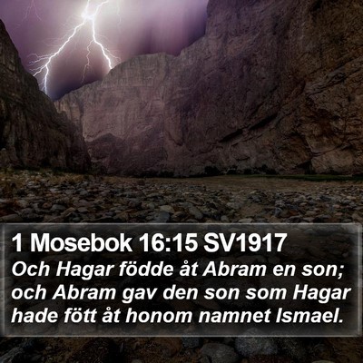 1 Mosebok 16:15 SV1917 Bible Verse Image