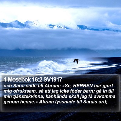 1 Mosebok 16:2 SV1917 Bible Verse Image