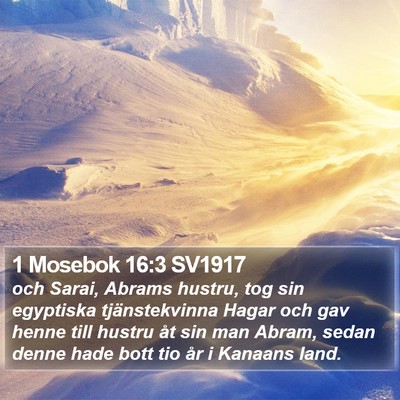 1 Mosebok 16:3 SV1917 Bible Verse Image