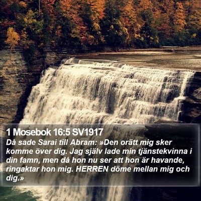 1 Mosebok 16:5 SV1917 Bible Verse Image