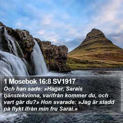 1 Mosebok 16:8 SV1917 Bible Verse Image