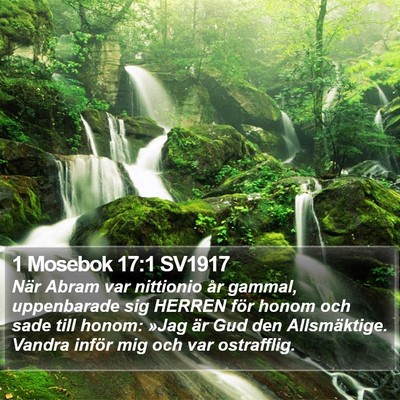 1 Mosebok 17:1 SV1917 Bible Verse Image