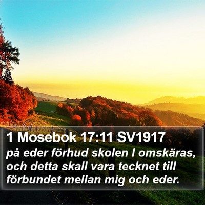 1 Mosebok 17:11 SV1917 Bible Verse Image