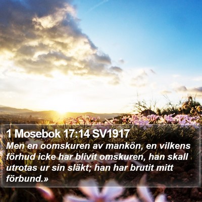 1 Mosebok 17:14 SV1917 Bible Verse Image