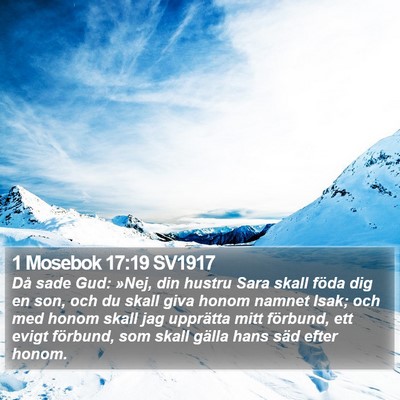1 Mosebok 17:19 SV1917 Bible Verse Image