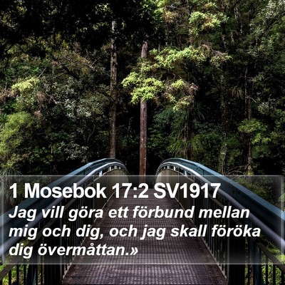 1 Mosebok 17:2 SV1917 Bible Verse Image