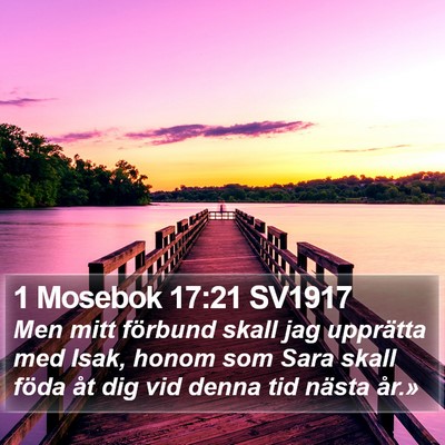 1 Mosebok 17:21 SV1917 Bible Verse Image