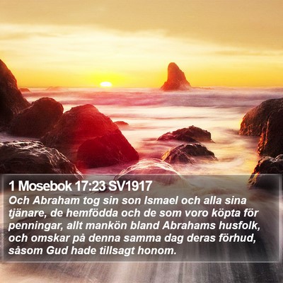1 Mosebok 17:23 SV1917 Bible Verse Image