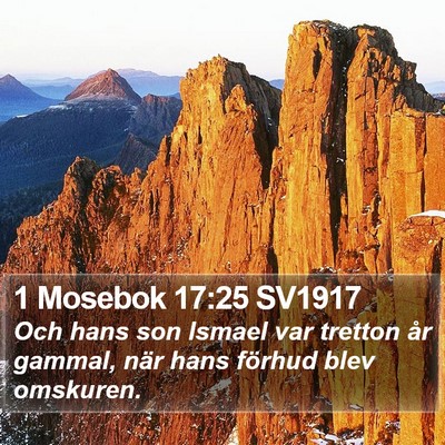 1 Mosebok 17:25 SV1917 Bible Verse Image