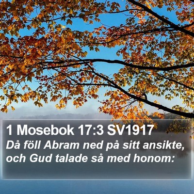 1 Mosebok 17:3 SV1917 Bible Verse Image