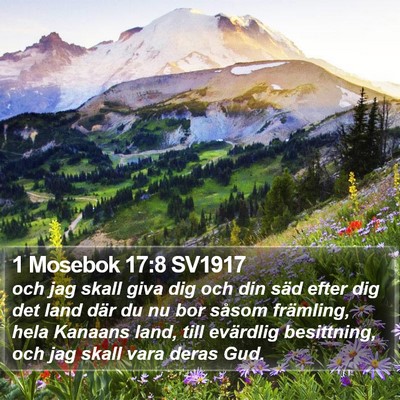 1 Mosebok 17:8 SV1917 Bible Verse Image