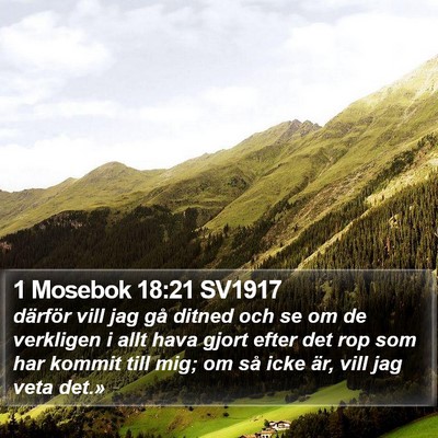 1 Mosebok 18:21 SV1917 Bible Verse Image