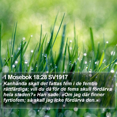 1 Mosebok 18:28 SV1917 Bible Verse Image