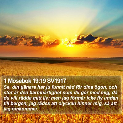 1 Mosebok 19:19 SV1917 Bible Verse Image