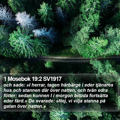 1 Mosebok 19:2 SV1917 Bible Verse Image