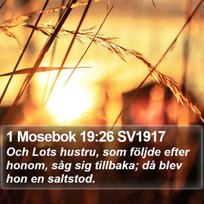 1 Mosebok 19:26 SV1917 Bible Verse Image