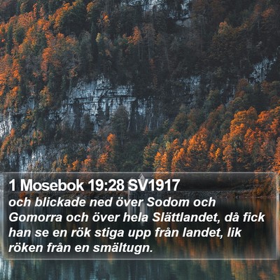 1 Mosebok 19:28 SV1917 Bible Verse Image