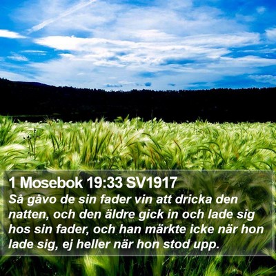 1 Mosebok 19:33 SV1917 Bible Verse Image
