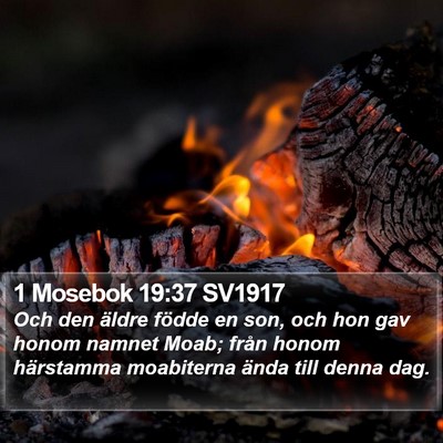 1 Mosebok 19:37 SV1917 Bible Verse Image