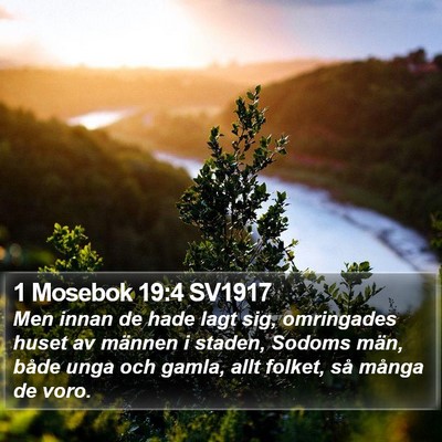 1 Mosebok 19:4 SV1917 Bible Verse Image