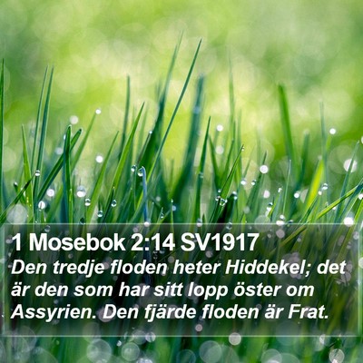 1 Mosebok 2:14 SV1917 Bible Verse Image