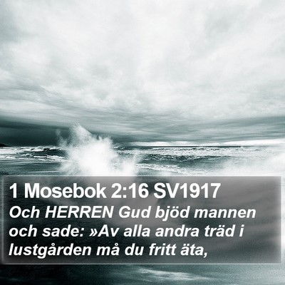1 Mosebok 2:16 SV1917 Bible Verse Image