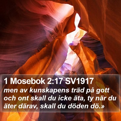 1 Mosebok 2:17 SV1917 Bible Verse Image