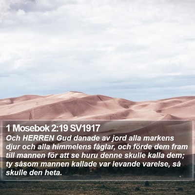 1 Mosebok 2:19 SV1917 Bible Verse Image