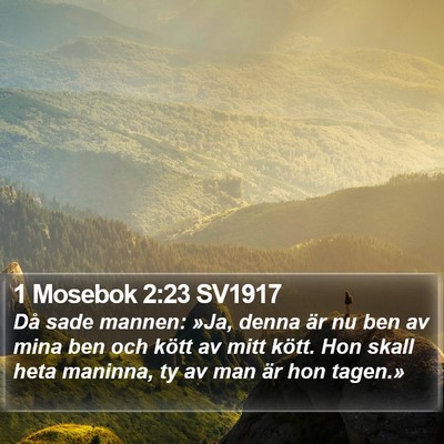 1 Mosebok 2:23 SV1917 Bible Verse Image