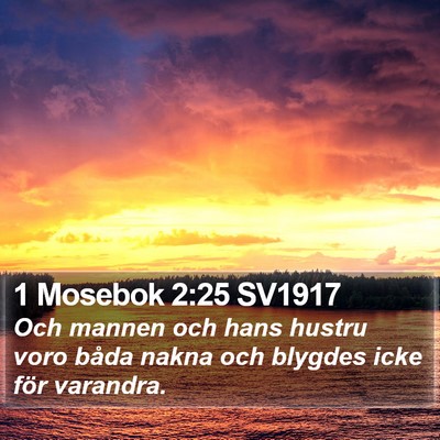 1 Mosebok 2:25 SV1917 Bible Verse Image