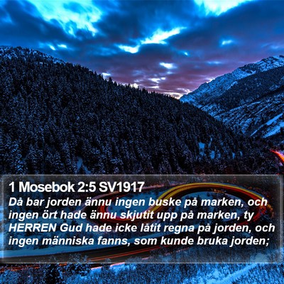 1 Mosebok 2:5 SV1917 Bible Verse Image
