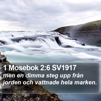 1 Mosebok 2:6 SV1917 Bible Verse Image