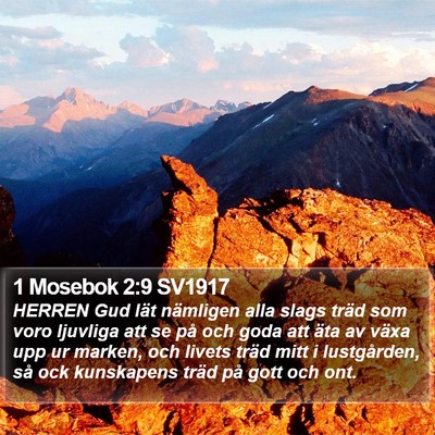 1 Mosebok 2:9 SV1917 Bible Verse Image