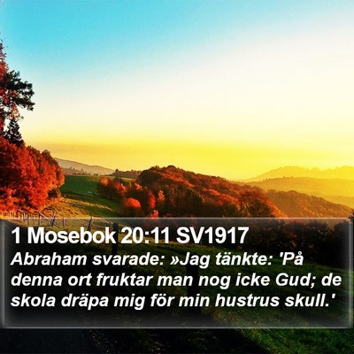 1 Mosebok 20:11 SV1917 Bible Verse Image