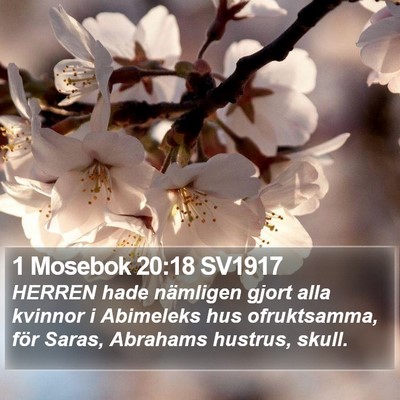 1 Mosebok 20:18 SV1917 Bible Verse Image