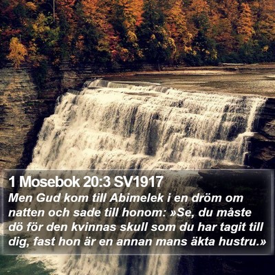 1 Mosebok 20:3 SV1917 Bible Verse Image