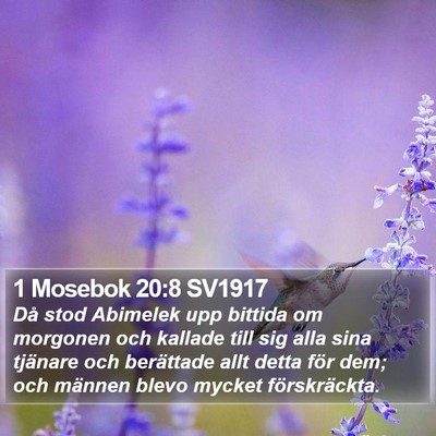 1 Mosebok 20:8 SV1917 Bible Verse Image