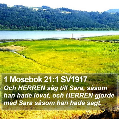 1 Mosebok 21:1 SV1917 Bible Verse Image