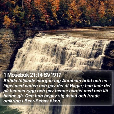 1 Mosebok 21:14 SV1917 Bible Verse Image