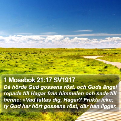 1 Mosebok 21:17 SV1917 Bible Verse Image