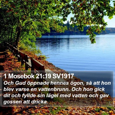 1 Mosebok 21:19 SV1917 Bible Verse Image