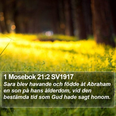 1 Mosebok 21:2 SV1917 Bible Verse Image