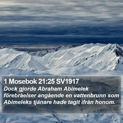 1 Mosebok 21:25 SV1917 Bible Verse Image
